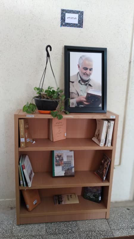 استان شناسی